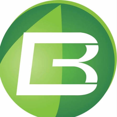 Logo de Grupo Borelli, cliente B&P Advisory Business & People Consulting